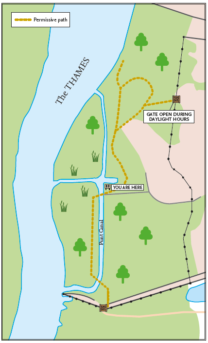 CPG access map