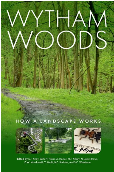 landscape works Kkirby