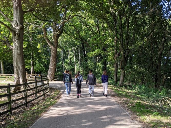 Four students walk along the pathway into Wytham Woods