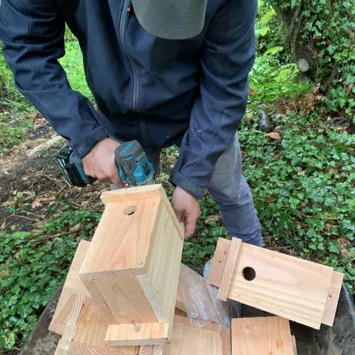 New bird boxes being installed at Court Place Gardens