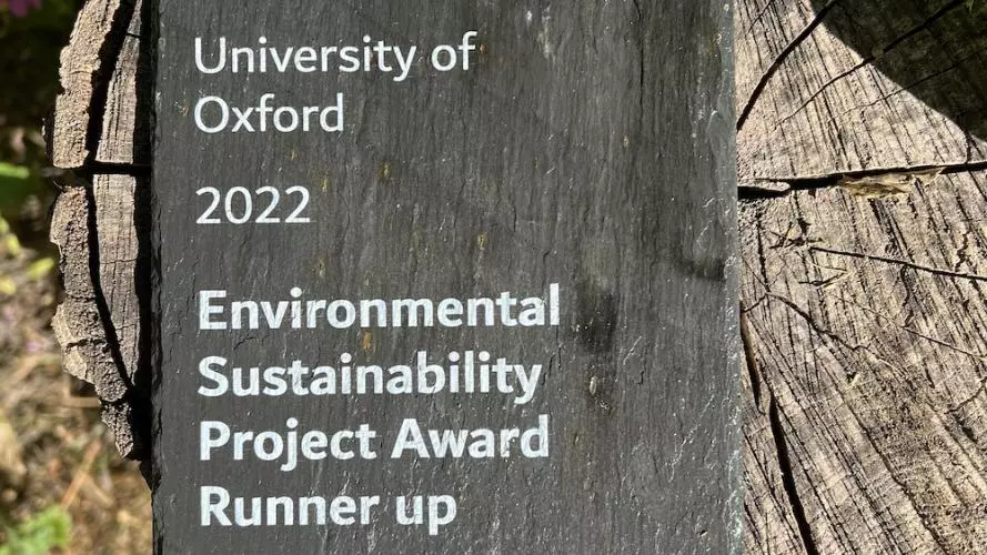 An image of the slate award; "Environmental Sustainability Project Award Runner Up: The Classroom with Leaves - Wytham Woods"
