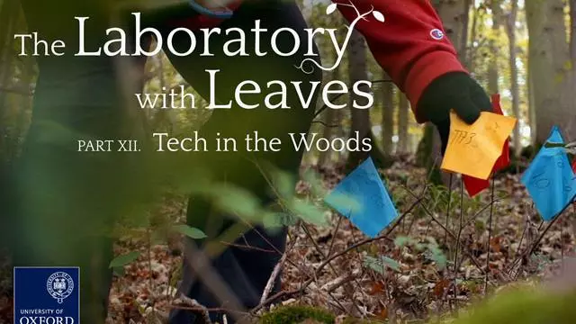 The Laboratory with Leaves