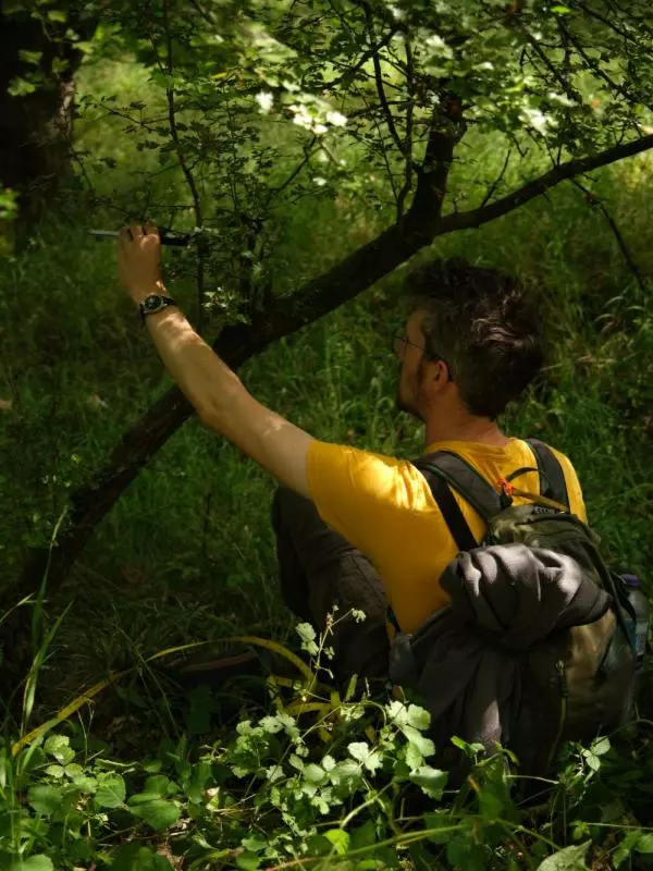 A member of the Oxford Ecosystems team at Wytham Woods