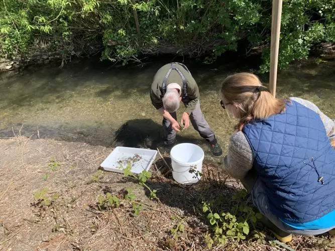 Two people studying water inhabitants at Wytham Woods