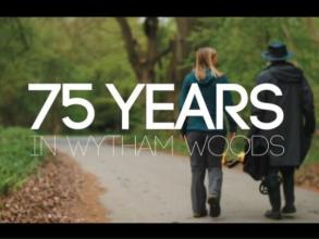 Two people walking down a tree lined road with wording over image stating 75 Years in Wytham Woods