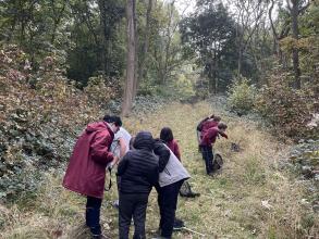 A group of school students look for insects in Wytham Woods