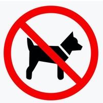 no dogs