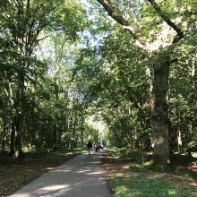 A group of people walking on a path through Wytham Woods