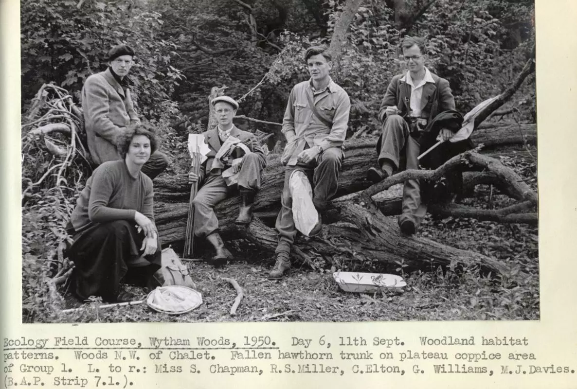 1950 Field trip wytham woods